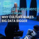 2015 - SAP - Why Culture Makes Big Data Bigger - Sirous Kavehercy - banner